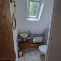 Haus zu verkaufen in Frankreich - Gite toilet with mosaic.jpg